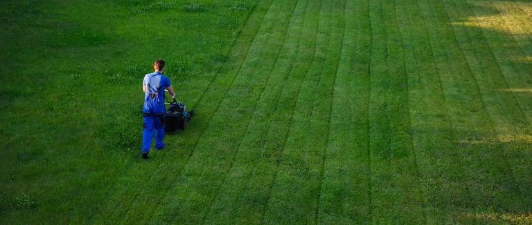 Professional lawn maintenance