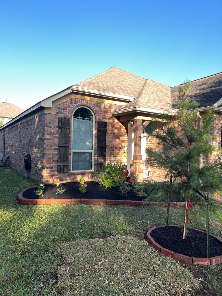 Single-story brick home with arched window, tan roof, and landscaped front yard with trees and mulch beds under clear blue sky